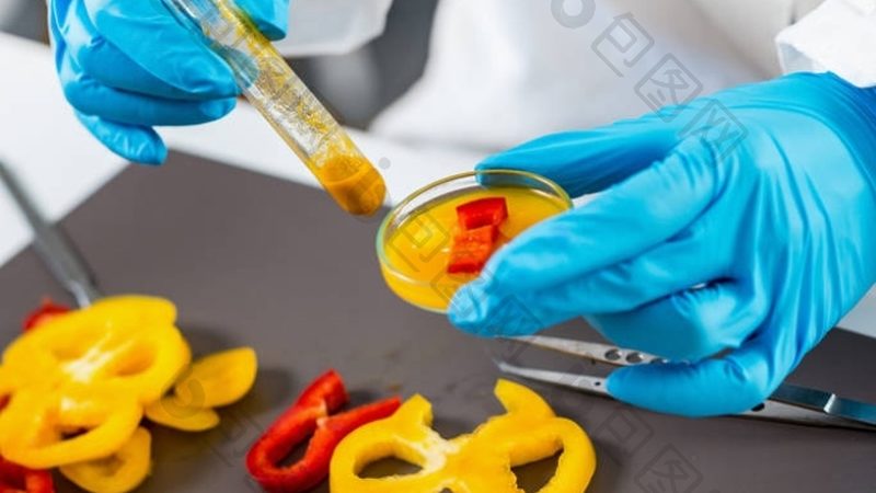 速冻食品设备：揭秘其优缺点与选型要点